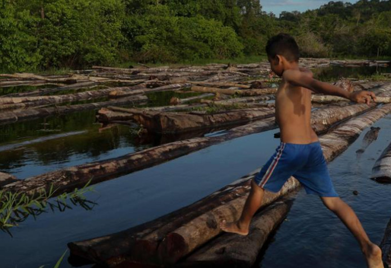 Alerta en Brasilia: Parlamentarios de siete países exigen frenar la expansión fósil en la Amazonía